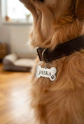 Médaille Chien Personnalisée en Forme d'Os - Nom & Numéro Gravés au Laser